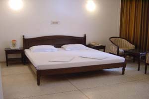 The Alpana Hotel 