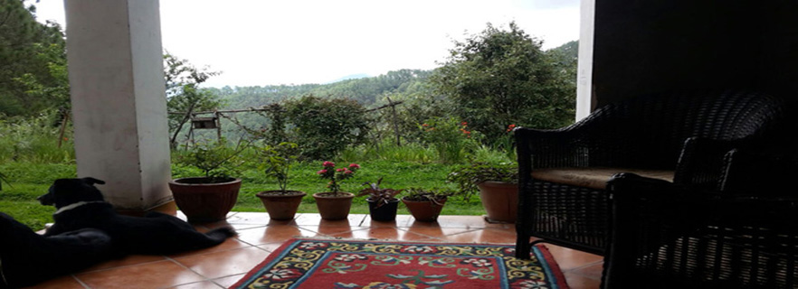 gwaldam-2-star-hotels-in-gwaldam.jpg