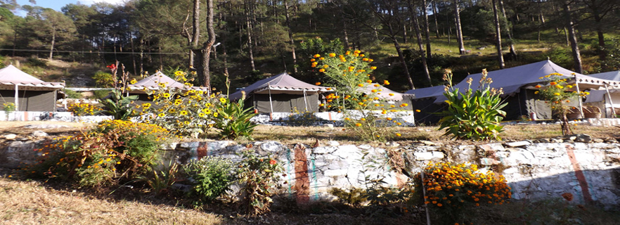 uttarkashi-hotels-resorts.jpg