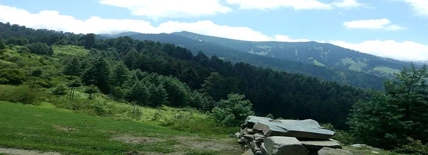 Bajuara-in-bhuntar.webp