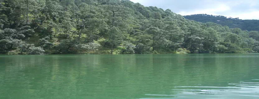 Bhowali_attractions.webp