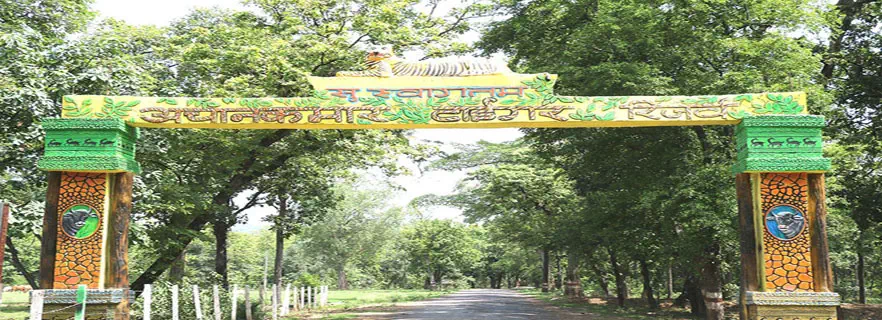 Bilaspur-fun-activity.webp
