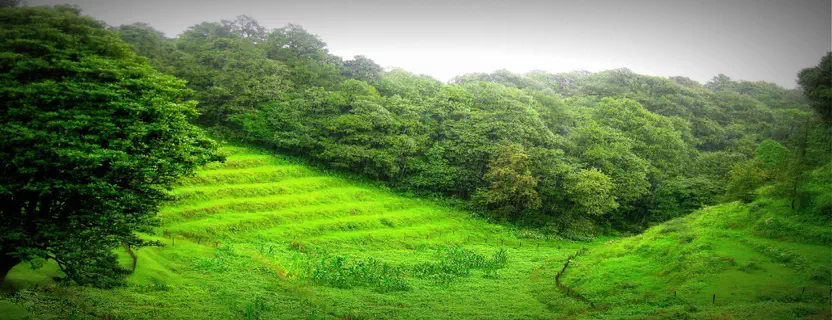 Binsar_attractions.webp