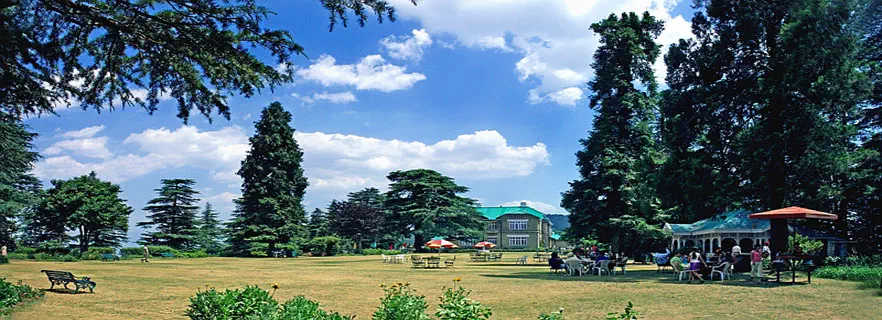 Chail_travel_agents_tour_operators.webp