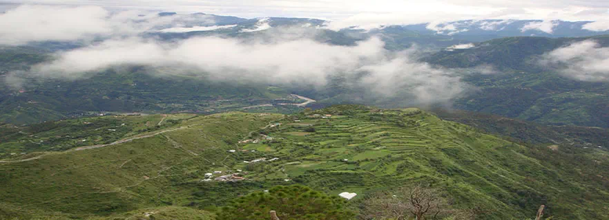 Chail_weather.webp