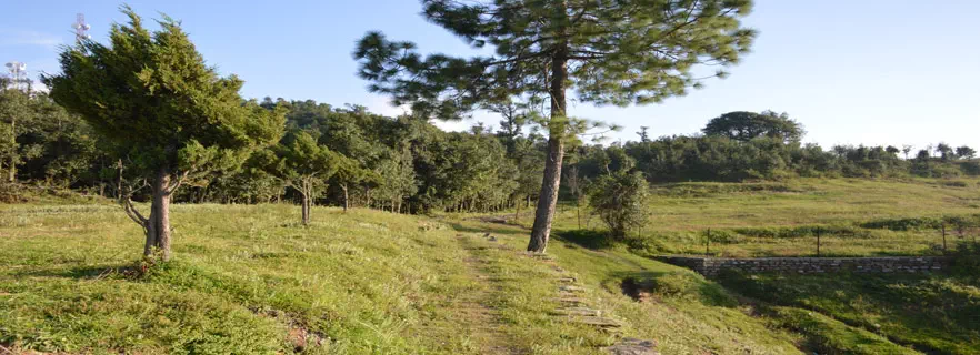 Dhanachuli-attractions.webp