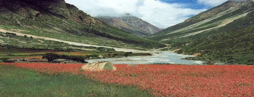 Dharchula_attractions.webp
