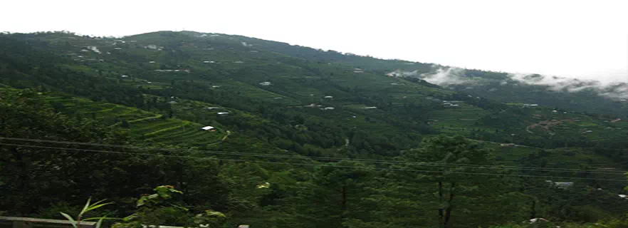 Fagu_tourism.webp
