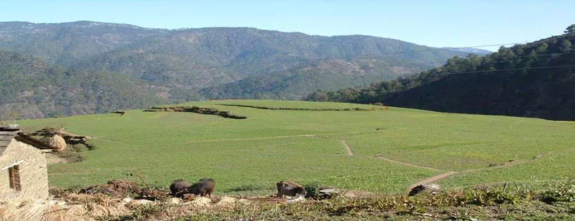 Gwaldam_Tourism.webp