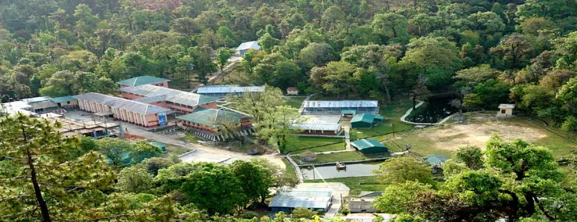 Gwaldam_attractions.webp
