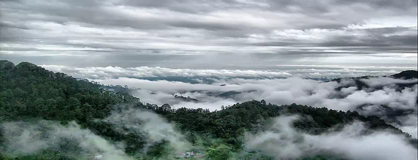 Haldwani_weather.webp