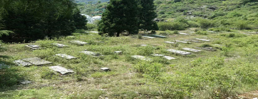 Kaladhungi_attractions.webp