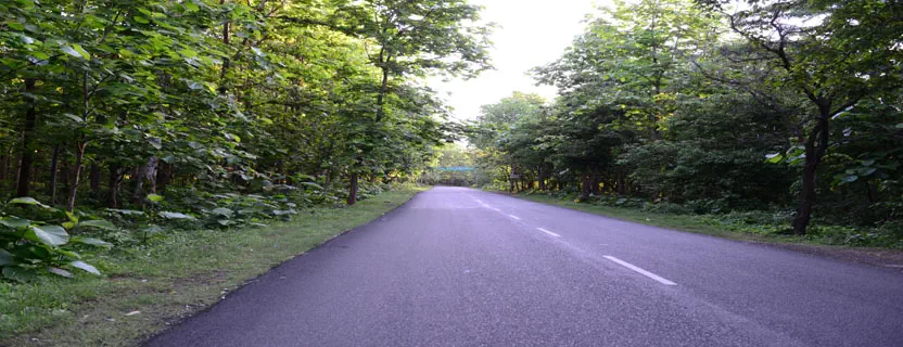 Kaladhungi_travel_agents_in_delhi.webp