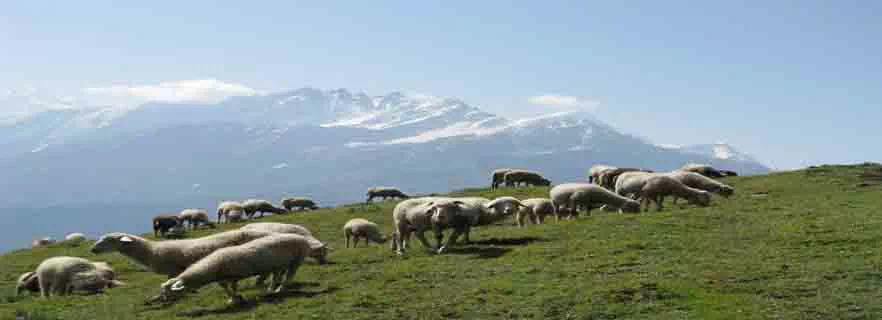 Karnaprayag-fun-activity.webp