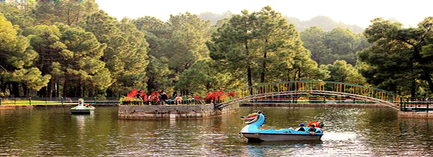 Palampur_tourism.webp