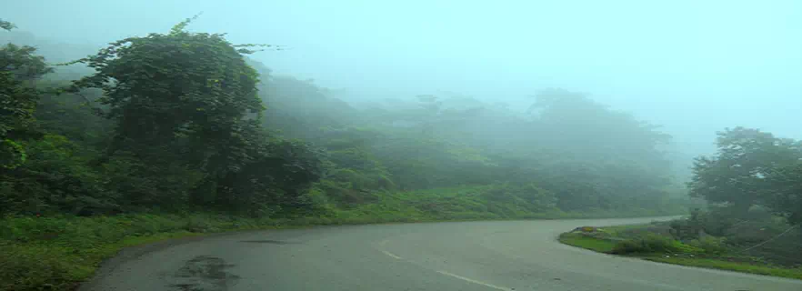 Palampur_weather.webp