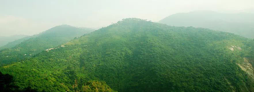 Parwanoo_weather.webp
