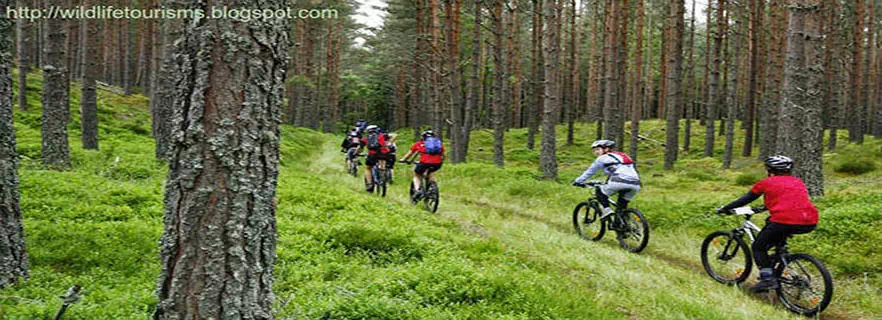 Ramnagar-adventure-activities.webp