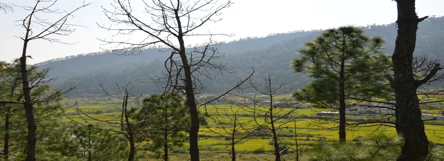 Ranikhet_attractions.webp