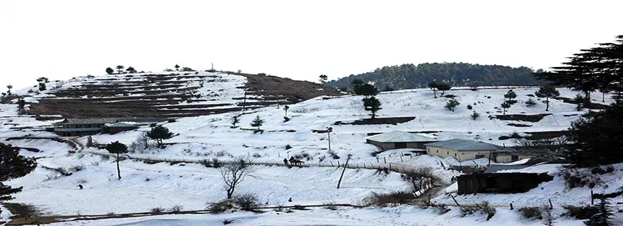 Shimla_Tourism.webp