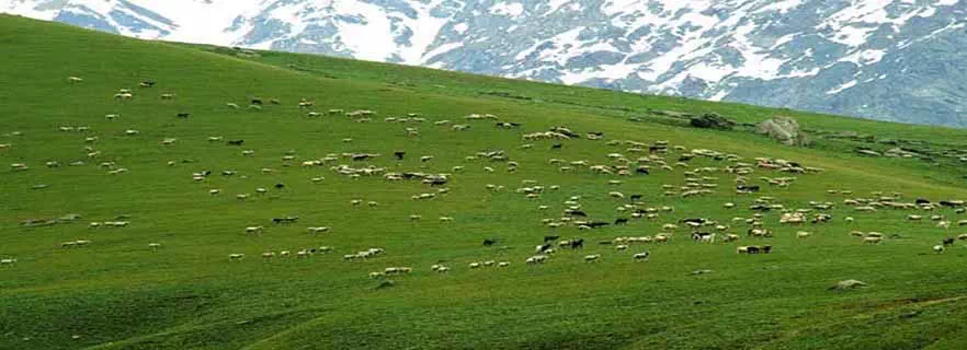 Uttarkashi-kids-attractions.webp