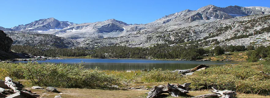 abbott-mount.webp