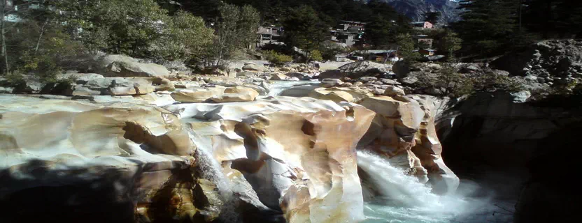 airline_travel_agent_gangotri.webp