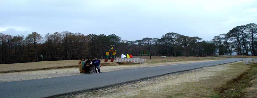 airline_travel_agent_ranikhet.webp