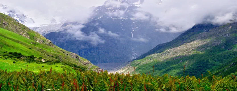 airline_travel_agent_valley_of_flowers.webp