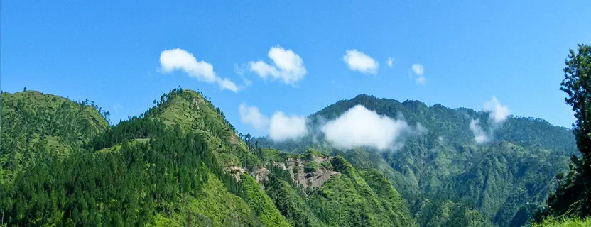 almora_travel_agents_in_delhi.webp