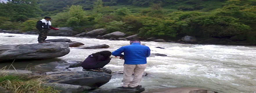 angling-and-fishing-in-palampur.webp