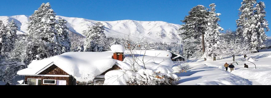 auli-ropeway.webp