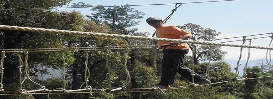bamboo-bridge-adventure-activities-chail.webp