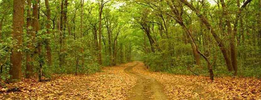 best_travel_agents_Ramnagar.webp