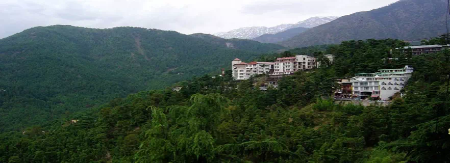best_travel_agents_mcleodganj.webp