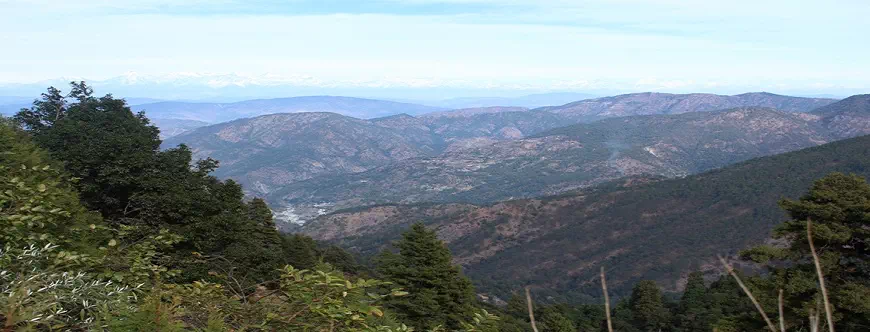 best_travel_agents_uttarakhand.webp