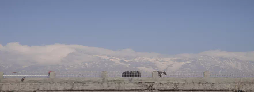brijeshwari-temple-in-palampur.webp