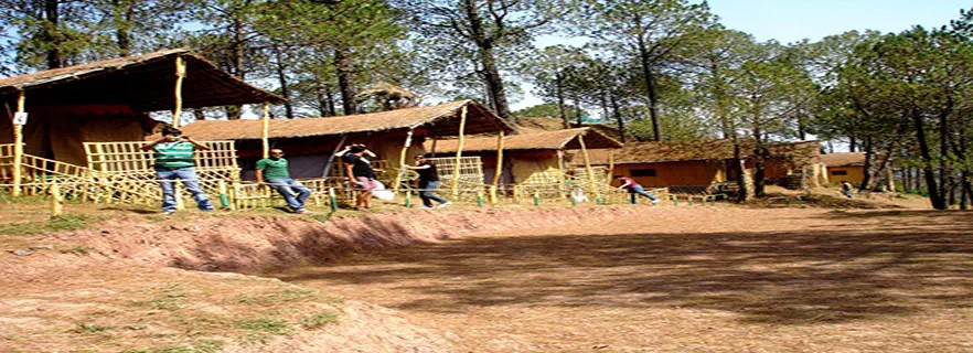 camping-kasauli.webp