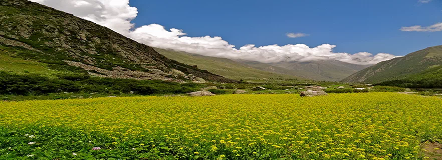 chitkul-sangla.webp