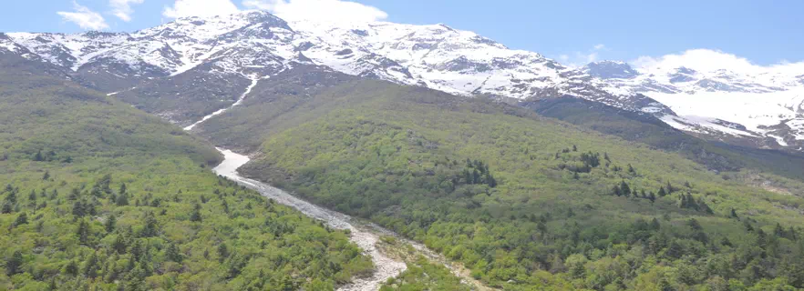 chitkul.webp