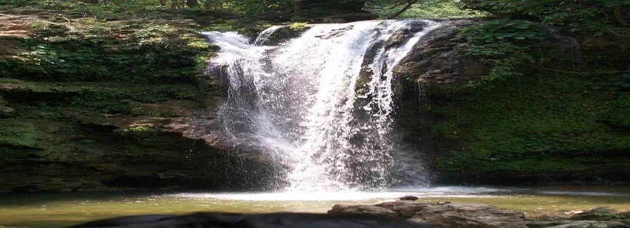 corbett-falls-kaladhungi.webp