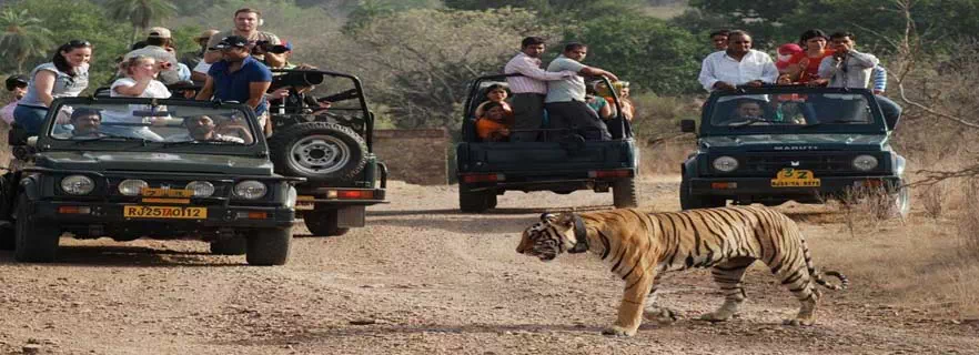 corbett-safari-price-hike-news.webp