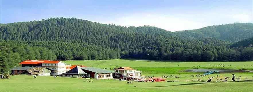 dalhousie-fun-activity.webp