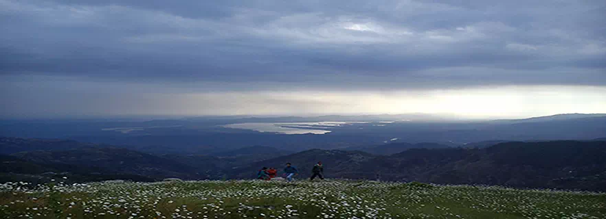 dalhousie-kids-attractions.webp