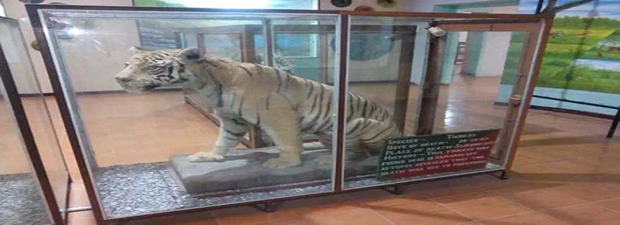 dhanagari-museum.webp
