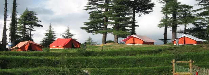 dhanaulti-fun-activity.webp