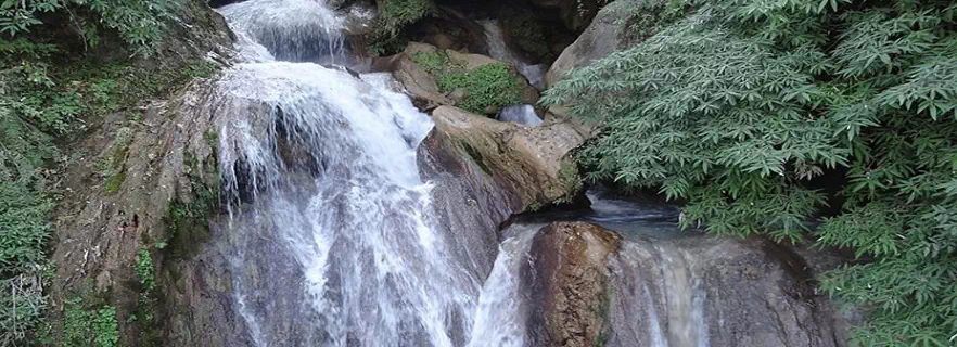 dhanaulti-nature.webp