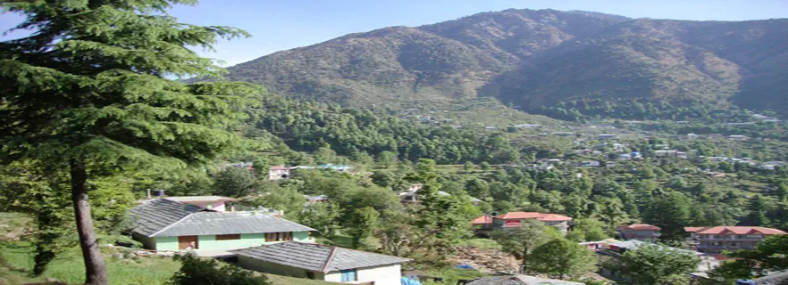 dharamkot.webp