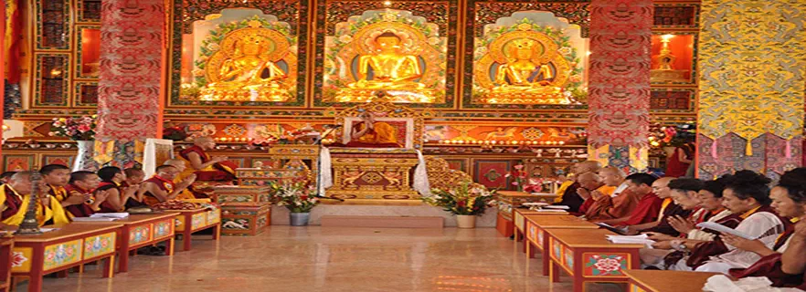 dorzong-monastic-institute-in-palampur.webp