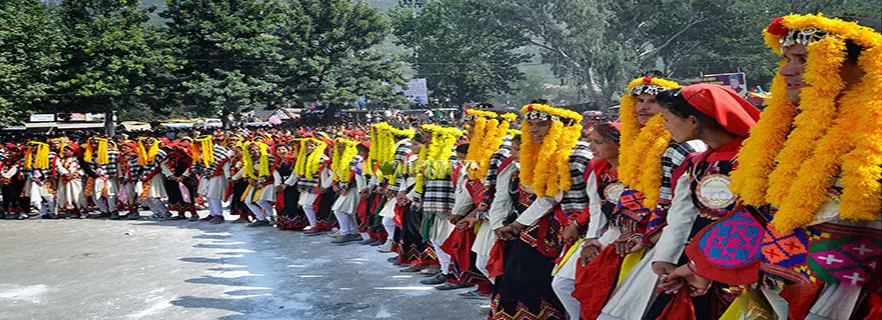 fagu-culture.webp